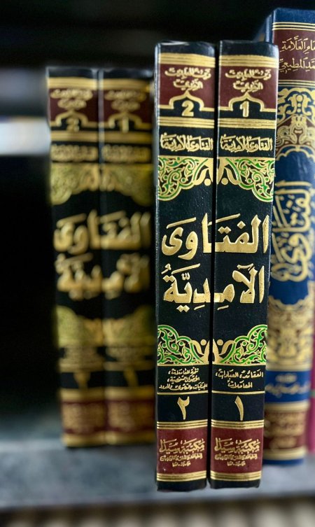 الفتاوى الآمدية